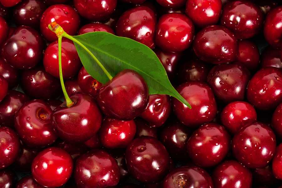 ripe cherries